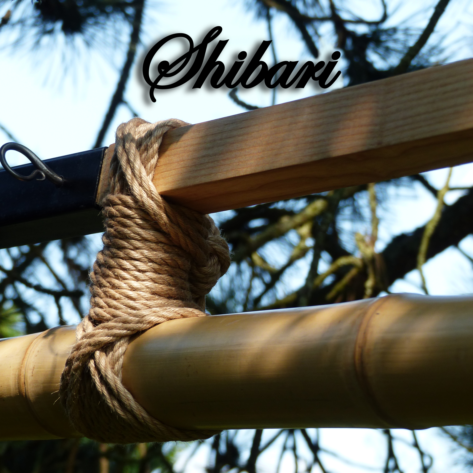 Portique de Shibari
