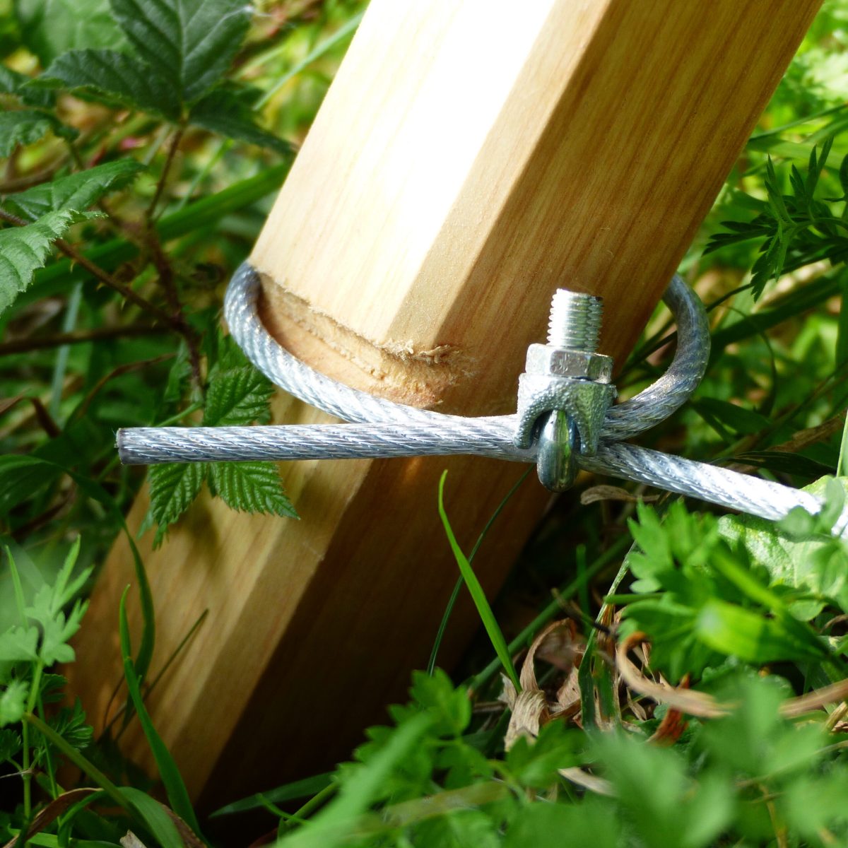 Portique de Shibari