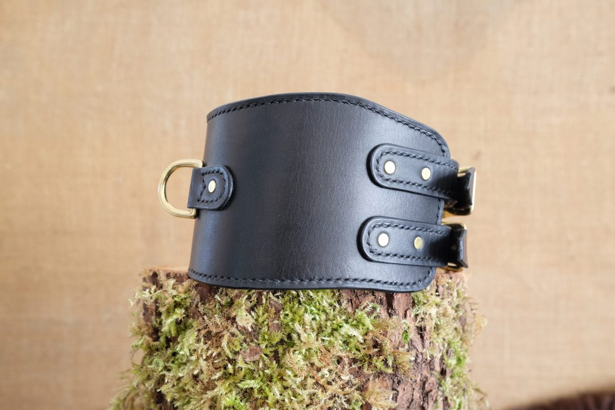 DSCF0038 Collier Alecto