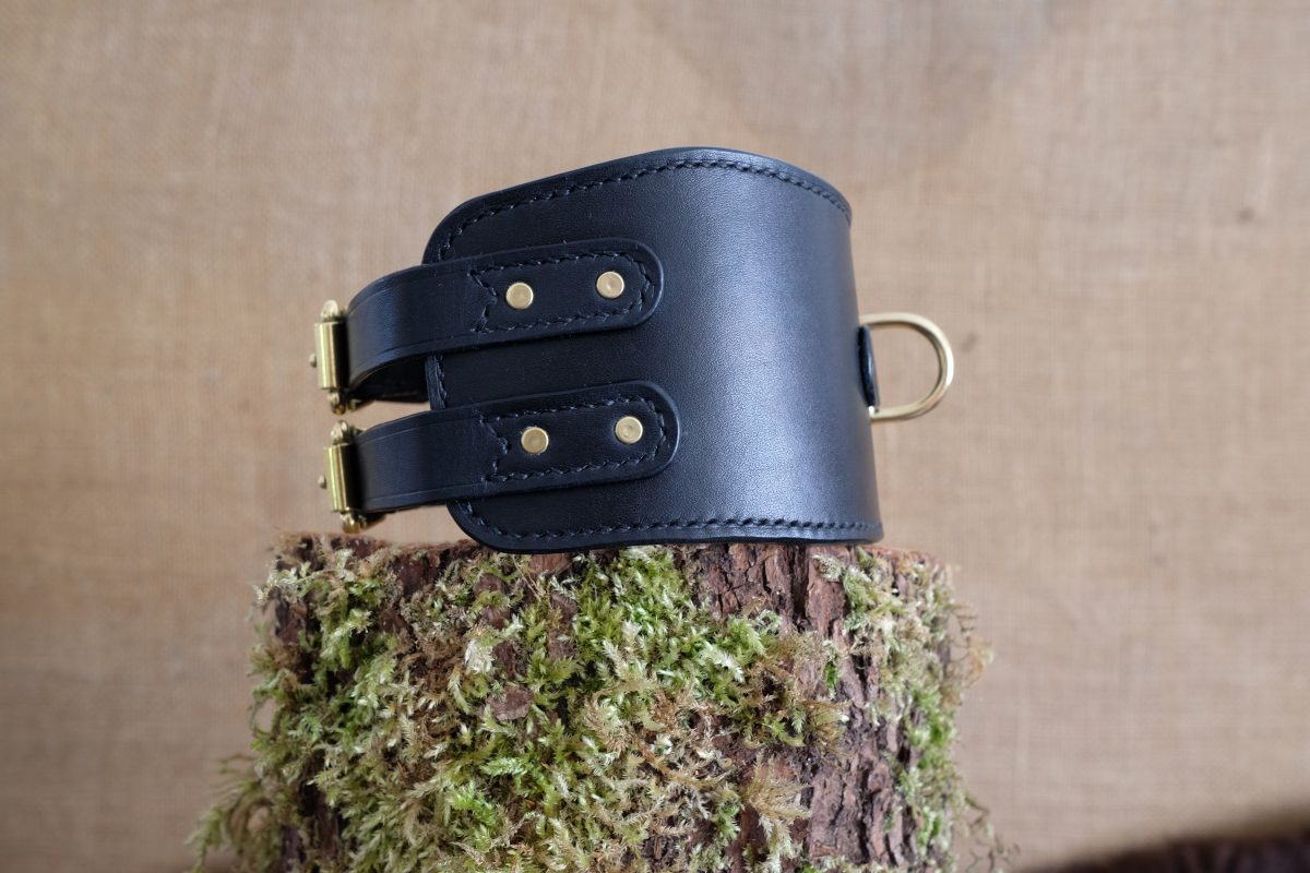 DSCF0039 Collier Alecto