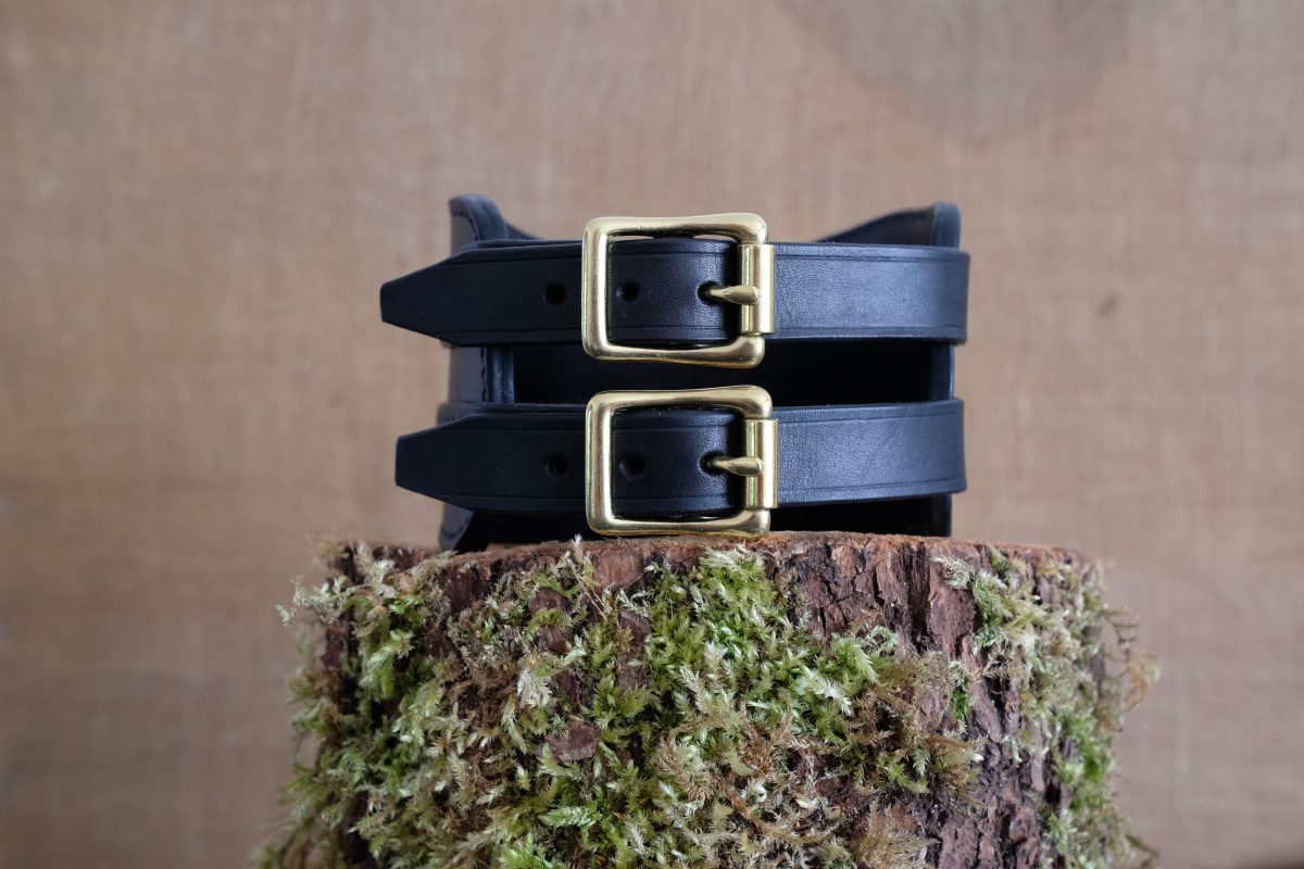 DSCF0040 Collier Alecto