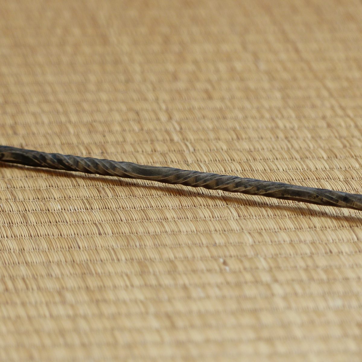 P1090819 Badine torsadée en métal